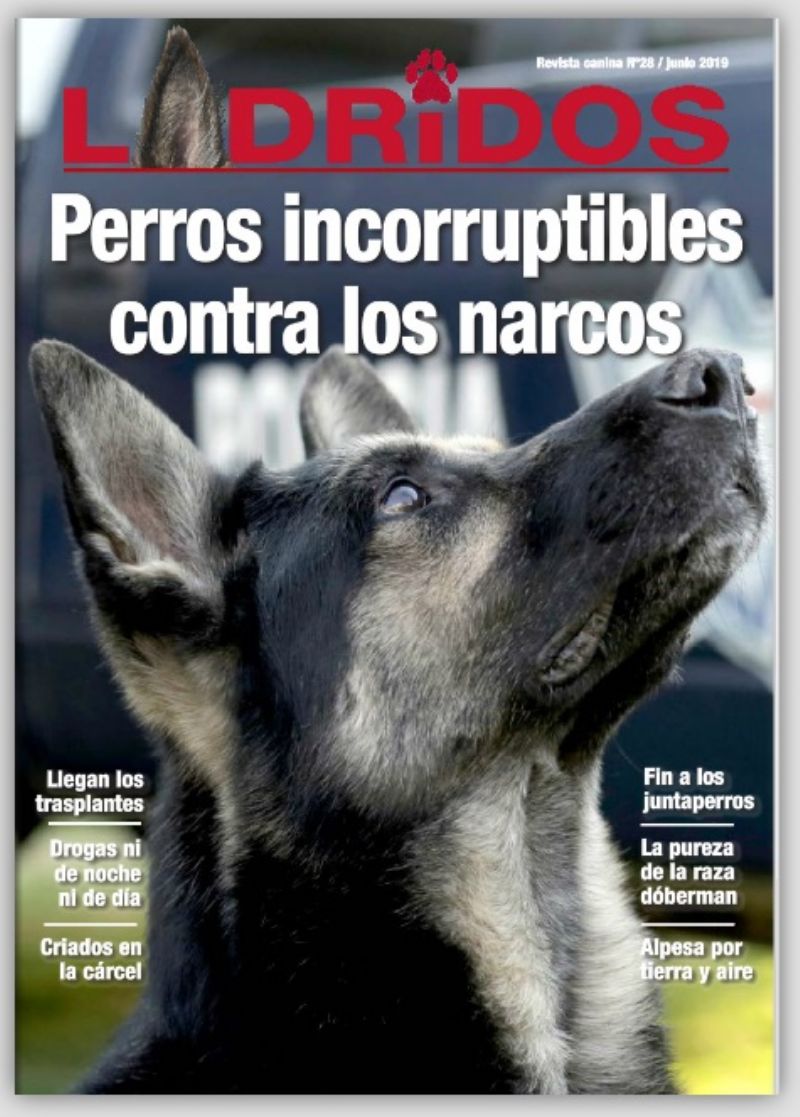 Revista Ladridos junio 2019
